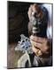 Premium Photographic Print