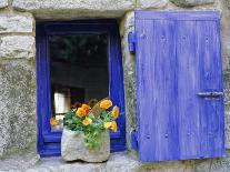 Close-Up of Blue Shutter, Window and Yellow Pansies, Villefranche Sur Mer, Provence, France-Bruno Morandi-Photographic Print