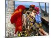 Photographic Print