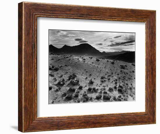 Brush and Mountains, Desert Landscape, c.1960-Brett Weston-Framed Photographic Print