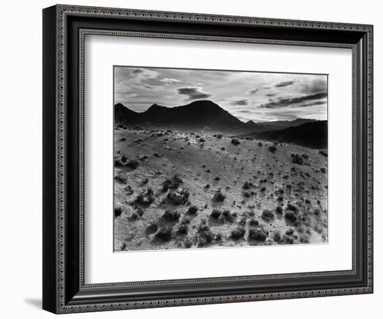 Brush and Mountains, Desert Landscape, c.1960-Brett Weston-Framed Photographic Print