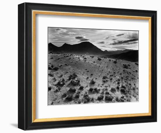 Brush and Mountains, Desert Landscape, c.1960-Brett Weston-Framed Photographic Print