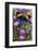 Brush-Footed Butterfly, Callithea Davisi on Orchard-Darrell Gulin-Framed Photographic Print