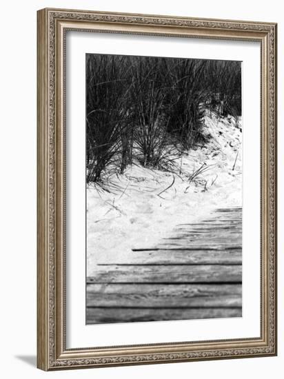 Brush Sand Wood-Jeff Pica-Framed Photographic Print