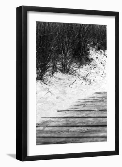 Brush Sand Wood-Jeff Pica-Framed Photographic Print