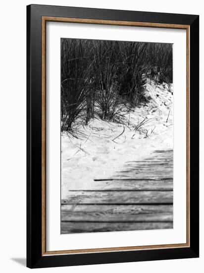 Brush Sand Wood-Jeff Pica-Framed Photographic Print