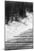 Brush Sand Wood-Jeff Pica-Mounted Photographic Print