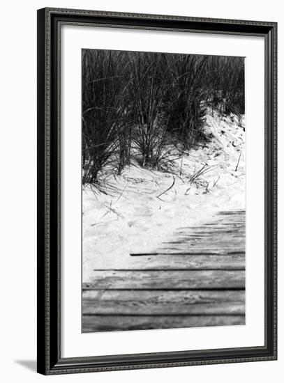 Brush Sand Wood-Jeff Pica-Framed Photographic Print