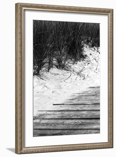 Brush Sand Wood-Jeff Pica-Framed Photographic Print