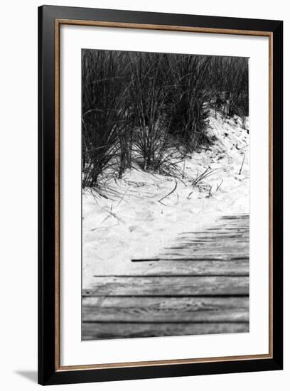 Brush Sand Wood-Jeff Pica-Framed Photographic Print