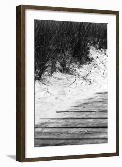 Brush Sand Wood-Jeff Pica-Framed Photographic Print