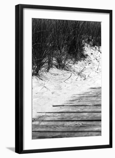 Brush Sand Wood-Jeff Pica-Framed Photographic Print