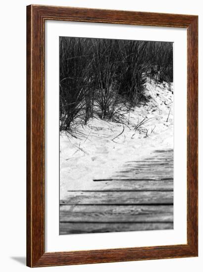 Brush Sand Wood-Jeff Pica-Framed Photographic Print