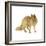 Brushed Gold Animals III-Grace Popp-Framed Art Print