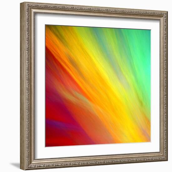 Brushfire I-Douglas Taylor-Framed Photographic Print