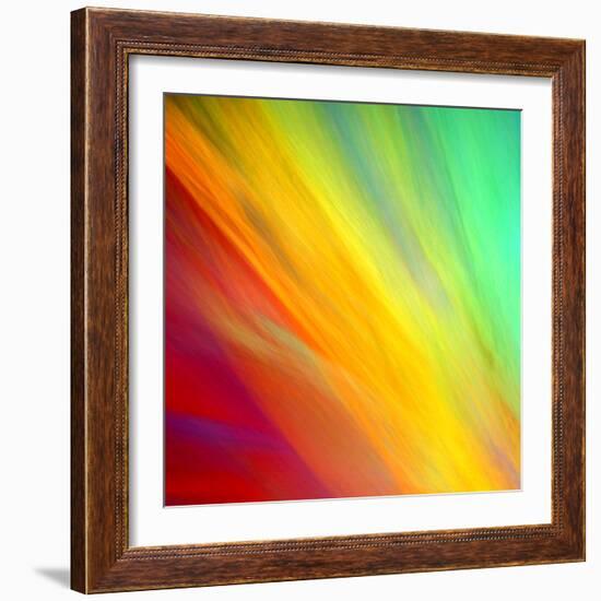 Brushfire I-Douglas Taylor-Framed Photographic Print