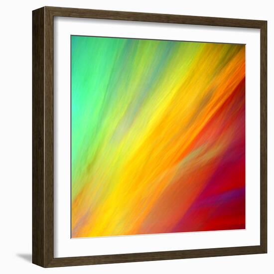 Brushfire II-Douglas Taylor-Framed Photographic Print