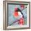 Brushstroke Bird I-Jennifer Parker-Framed Art Print