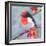 Brushstroke Bird I-Jennifer Parker-Framed Art Print