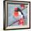 Brushstroke Bird I-Jennifer Parker-Framed Premium Giclee Print