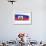 Brushstroke Flag Haiti-robodread-Framed Art Print displayed on a wall