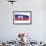 Brushstroke Flag Haiti-robodread-Framed Art Print displayed on a wall