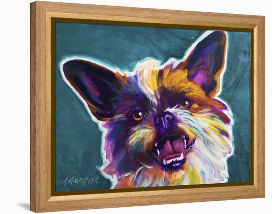 Brussels Griffon - Spicey-Dawgart-Framed Premier Image Canvas