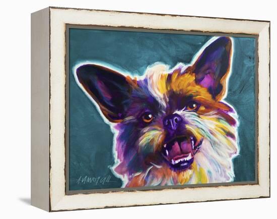 Brussels Griffon - Spicey-Dawgart-Framed Premier Image Canvas