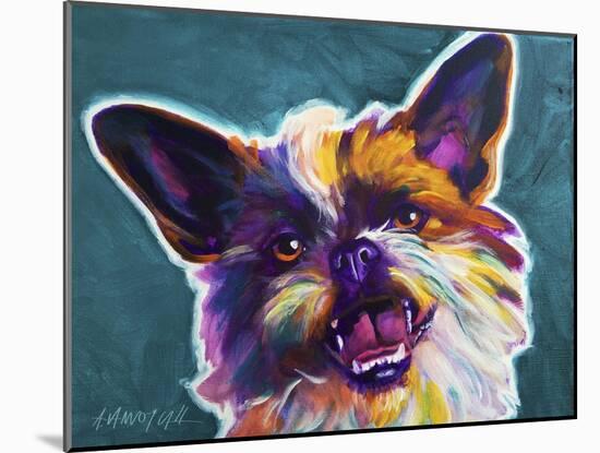 Brussels Griffon - Spicey-Dawgart-Mounted Giclee Print