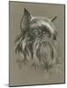 Brussels Griffon-Barbara Keith-Mounted Giclee Print