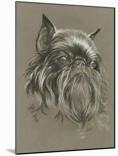 Brussels Griffon-Barbara Keith-Mounted Giclee Print