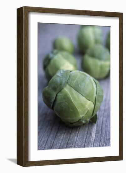 Brussels Sprouts (Brassica Oleracea)-Maxine Adcock-Framed Photographic Print