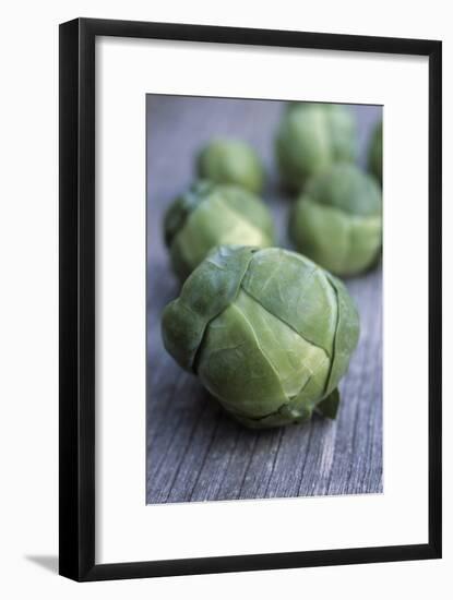 Brussels Sprouts (Brassica Oleracea)-Maxine Adcock-Framed Photographic Print