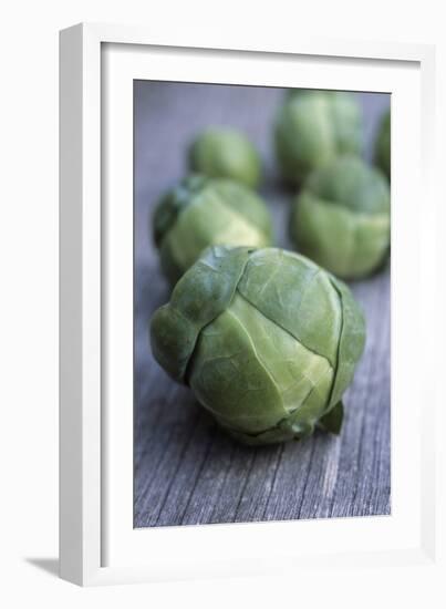 Brussels Sprouts (Brassica Oleracea)-Maxine Adcock-Framed Photographic Print