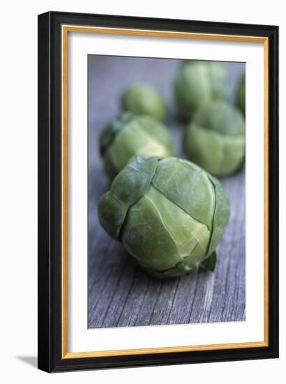 Brussels Sprouts (Brassica Oleracea)-Maxine Adcock-Framed Photographic Print