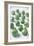 Brussels Sprouts-Veronique Leplat-Framed Photographic Print