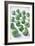 Brussels Sprouts-Veronique Leplat-Framed Photographic Print