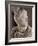 Brutus-Michelangelo Buonarroti-Framed Photographic Print