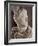 Brutus-Michelangelo Buonarroti-Framed Photographic Print