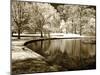 Bryan Pond II-Alan Hausenflock-Mounted Photographic Print