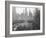 Bryant Park Looking toward Public Library-Philip Gendreau-Framed Photographic Print