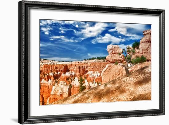 Bryce Amphitheater - Utah - Bryce Canyon National Park - United States-Philippe Hugonnard-Framed Photographic Print