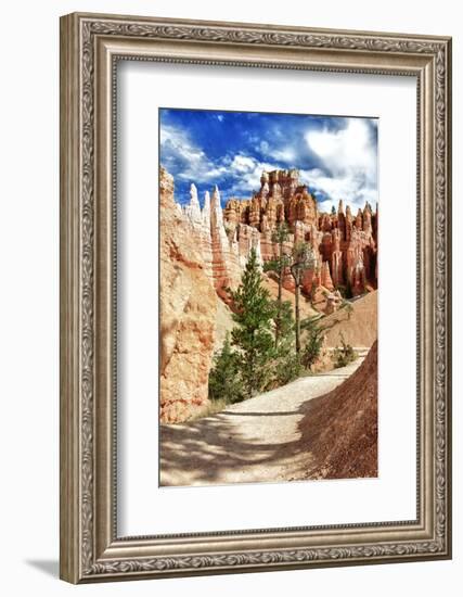 Bryce Amphitheater - Utah - Bryce Canyon National Park - United States-Philippe Hugonnard-Framed Photographic Print