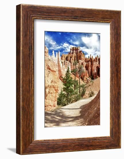 Bryce Amphitheater - Utah - Bryce Canyon National Park - United States-Philippe Hugonnard-Framed Photographic Print