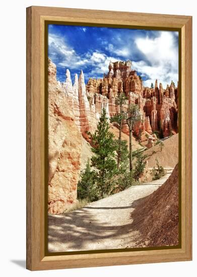 Bryce Amphitheater - Utah - Bryce Canyon National Park - United States-Philippe Hugonnard-Framed Premier Image Canvas