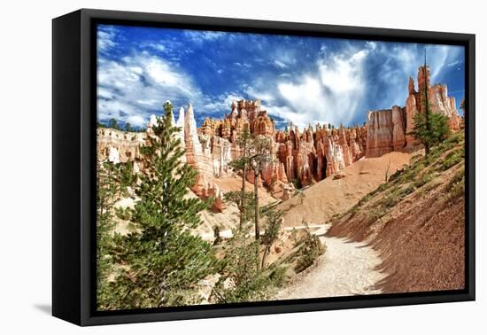 Bryce Amphitheater - Utah - Bryce Canyon National Park - United States-Philippe Hugonnard-Framed Premier Image Canvas