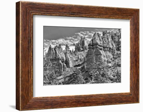 Bryce Amphitheater - Utah - Bryce Canyon National Park - United States-Philippe Hugonnard-Framed Photographic Print