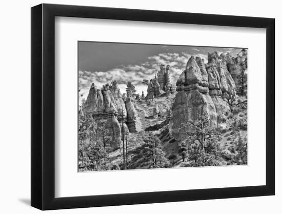 Bryce Amphitheater - Utah - Bryce Canyon National Park - United States-Philippe Hugonnard-Framed Photographic Print