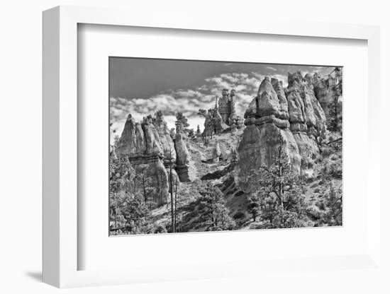 Bryce Amphitheater - Utah - Bryce Canyon National Park - United States-Philippe Hugonnard-Framed Photographic Print