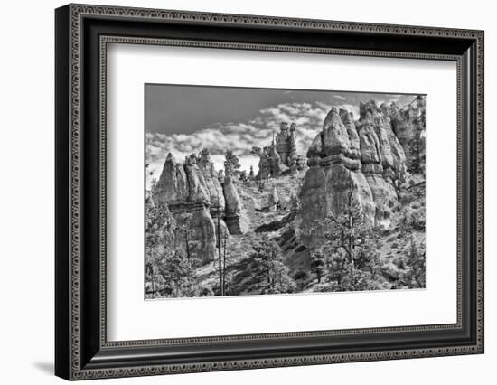 Bryce Amphitheater - Utah - Bryce Canyon National Park - United States-Philippe Hugonnard-Framed Photographic Print